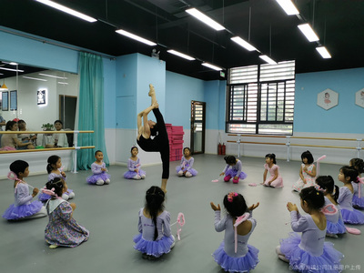 貴州北尚雙雙文化藝術教育咨詢