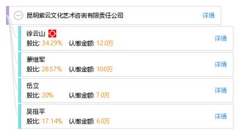 昆明紫云文化藝術(shù)咨詢有限責任公司 企業(yè)管理咨詢的專業(yè)服務