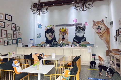 身邊的美學空間 蘇州這幾處公共文化體驗空間，文藝小資且充滿藝術靈感